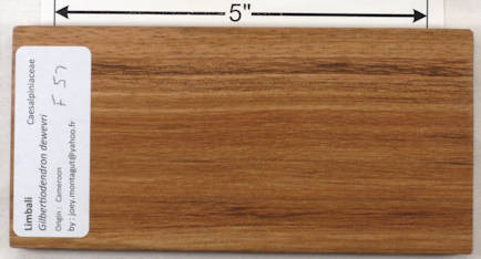 limbali 5a s25 plh.jpg